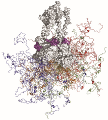 Image of p53 protein bound to DNA